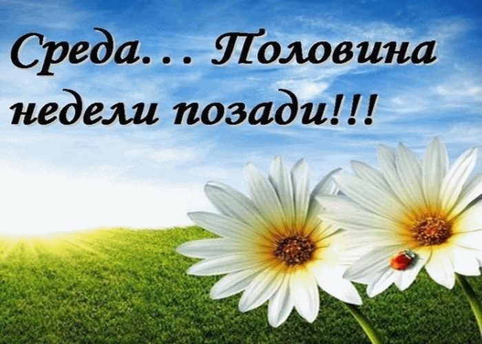 Открытки